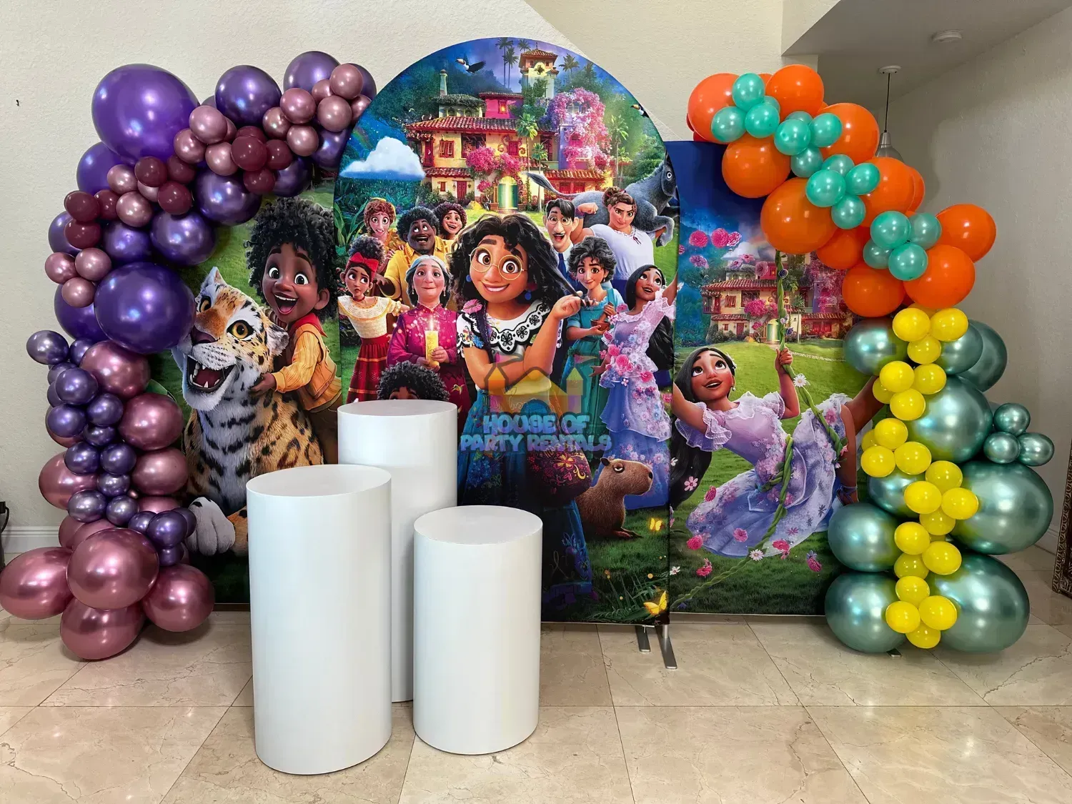 Encanto Birthday Decoration 5